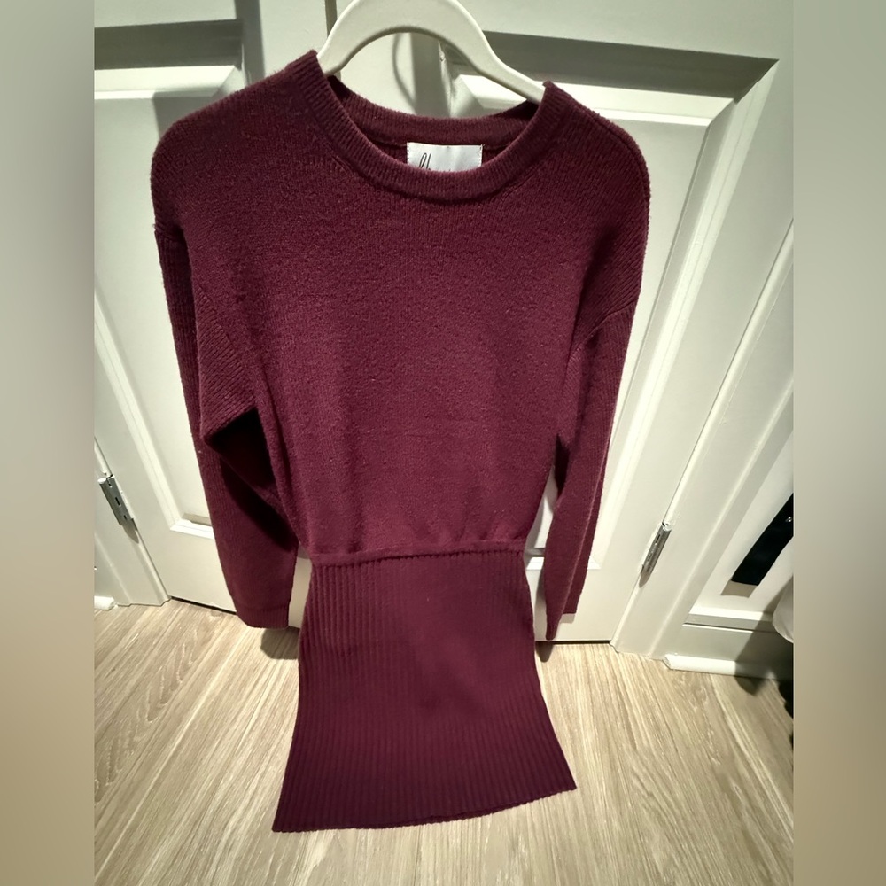 NWT sweater dress